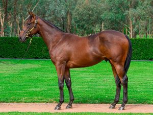 Lot 253 - 2021 Inglis Easter Sale