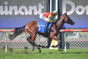 Vain Stakes next for impressive Moonee Valley winner