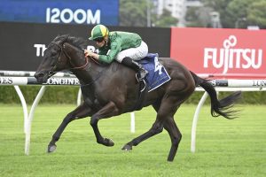 Belluci Babe ready to put on a show at Randwick