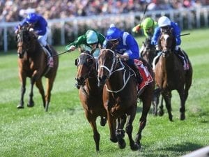 Winx headlines 135 Cox Plate nominations