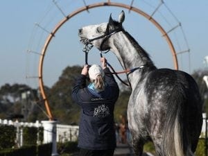 Chautauqua refuses to jump again