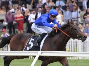 Tassort to miss spring carnival: Godolphin