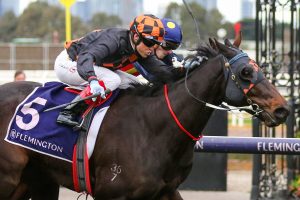 Horrifying wins stirring Flemington battle