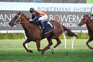 Nature Strip could win another 2 Everests