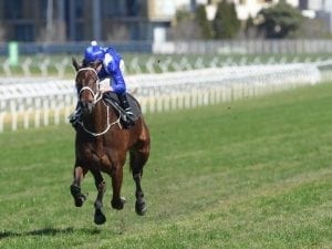 Winx third in eye-catching trial