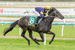 Squad wins at Bendigo