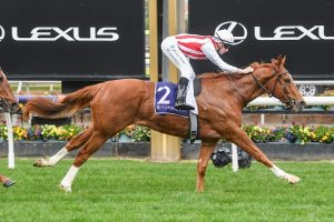 'Raw' Giga Kick returns with Flemington victory