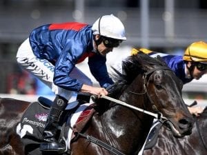 Octabello enters Caulfield Guineas picture