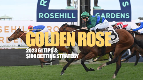 Horse Racing Big Bets – Saturday's Races (inc Golden Rose) 23/9/2023