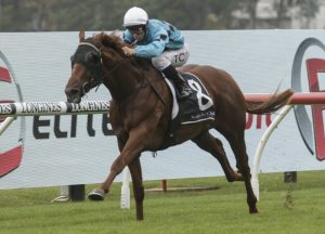 Ellsberg wins at Rosehill in 2020