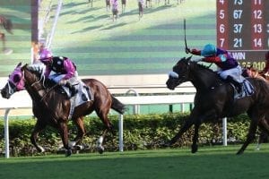 Outstanding miler Beauty Generation does it again in Oriental Watch Sha Tin Trophy