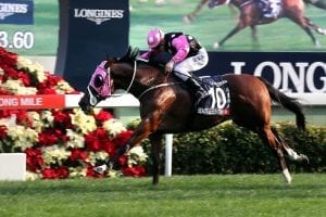 Beauty Generation relishes the rain in final gallop for Oriental Watch Sha Tin Trophy