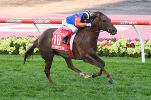 Bella Nipotina smashes rivals in Manikato Stakes