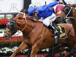 Classic hopes for Godolphin 3YO Ataraxia