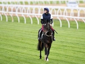 Big international team for Guineas day