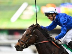 Trekking on target for G2 Schillaci Stakes