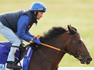 Spencer back for another shot at Caulfield