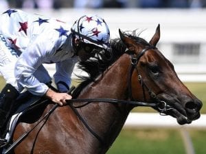 Sunlight too speedy for Caulfield rivals