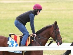 Irish happy to have role in historic Plate