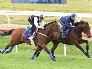 Bowman, Brown test Cup hopes at Werribee