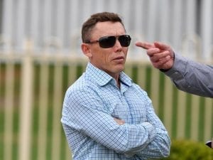 Nikitas to honour Kelso Wood at Doomben