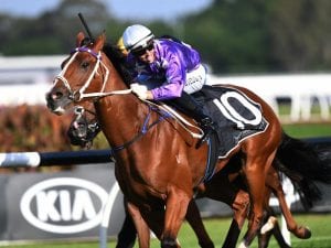 Cellarman to continue family's winning run