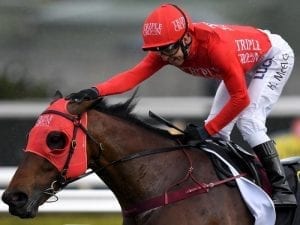 Redzel goes back to back in the 2018 Everest