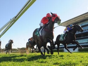 Redzel in great shape ahead of Everest