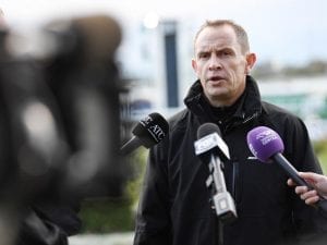 Waller relishes Humidor challenge for Winx