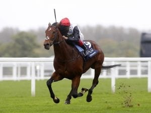 Cracksman the champion at Ascot