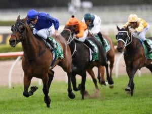 Cox Plate still on Happy Clapper's agenda