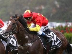 Gr 1 star Russian Revolution to be spelled