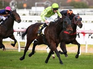 Caulfield Cup off the menu for Self Sense