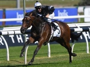 Victorem trials well ahead of Kosciuszko