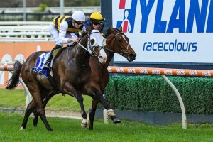 I'm Thunderstruck wins his first Group One at Caulfield