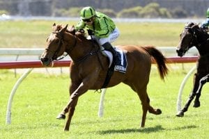 Black-type option for smart maiden winner