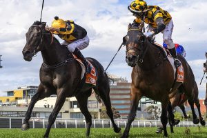 Probabeel beats $1.20 favourite in 2021 Might And Power Stakes