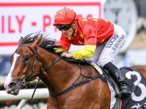 Legislation in winning debut for Snowdens