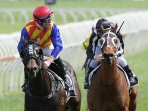 Pierata grabs Randwick consolation prize