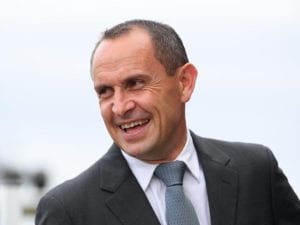 Chris Waller