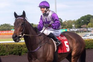 Sonja Wiseman stars in Northern Territory landing five winners