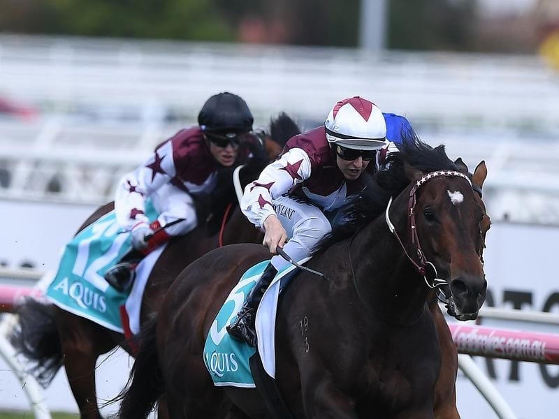 Land Of Plenty wins the Toorak Handicap.