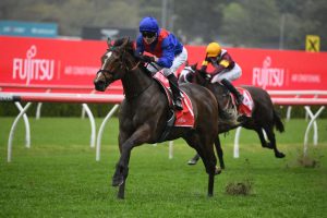 Zaaki 2021 Tramway Stakes