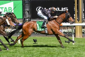 She's Licketysplit Thousand Guineas bound after Flemington win