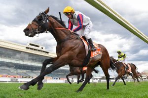 Delphi wins at Caulfield