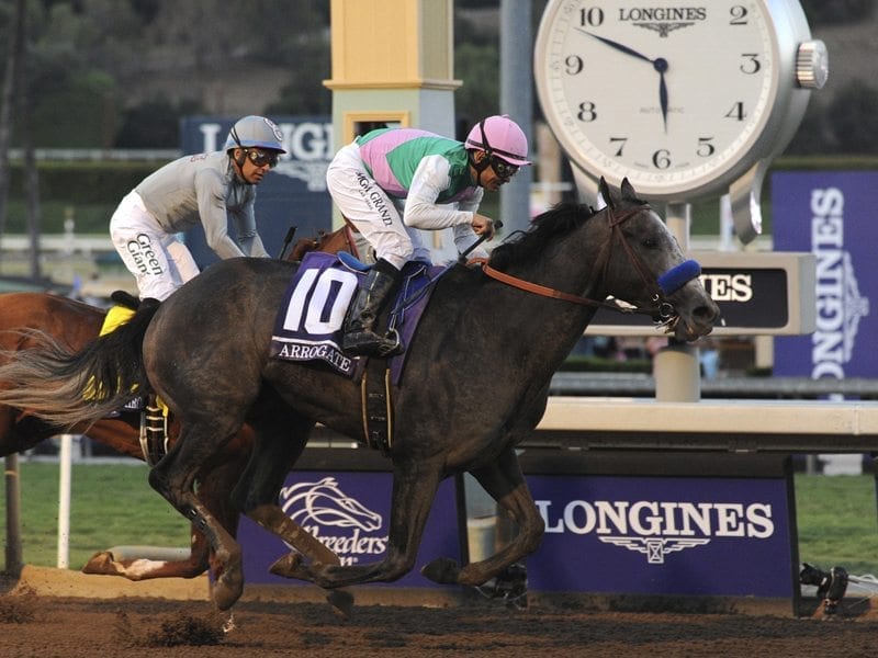 Arrogate upsets Chrome in Breeders Classic