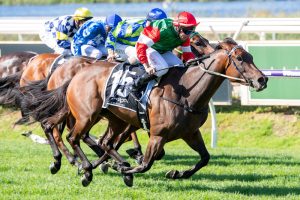 Amelia's Jewel salutes in WA Guineas