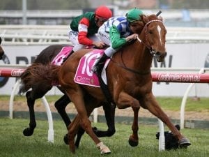 Darren Weir wins Ballarat Cup with Kiwia