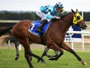 Bel Sonic returns a winner at Ballarat