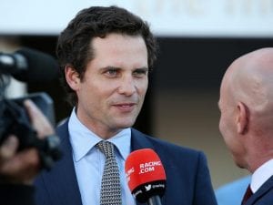 Matt Cumani